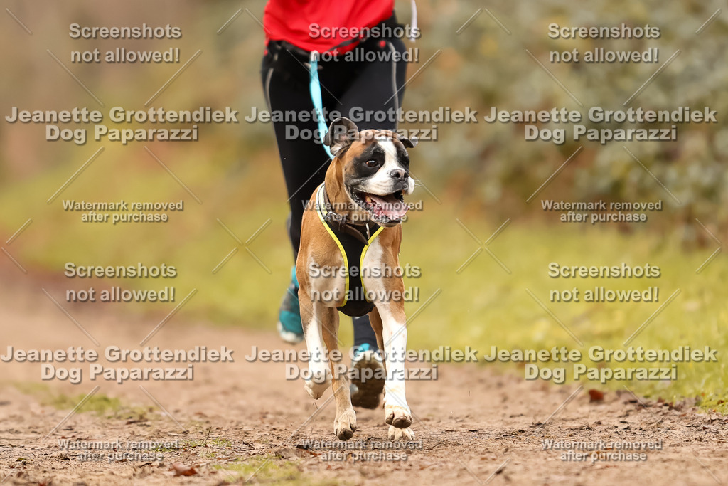 Dog Paparazzi - Speedhunter Mannheim  2025-239 | Dog Paparazzi Jeanette Grottendiek Fotografie & Videografie