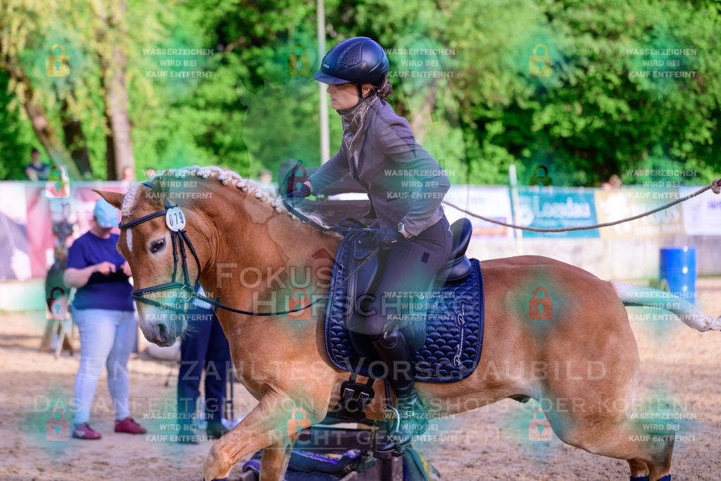 02052026-Giesenbach-03-Speedtrail-0830 | Fokus Hufschlag Fotografie - Realisiert mit Pictrs.com