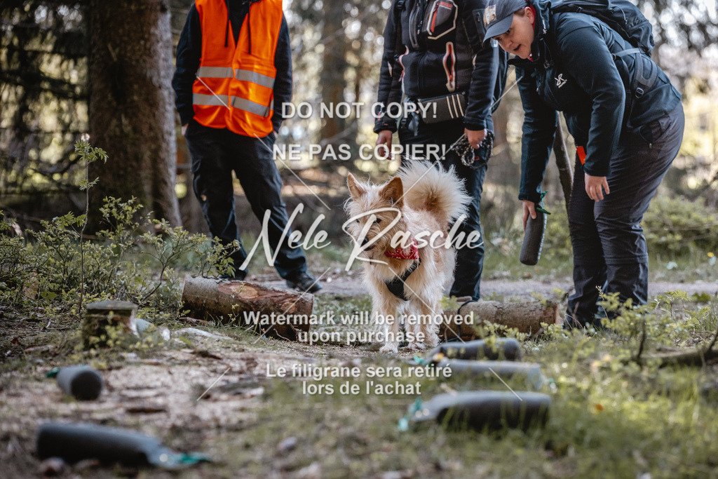 6Z1A0723 | nelerasche