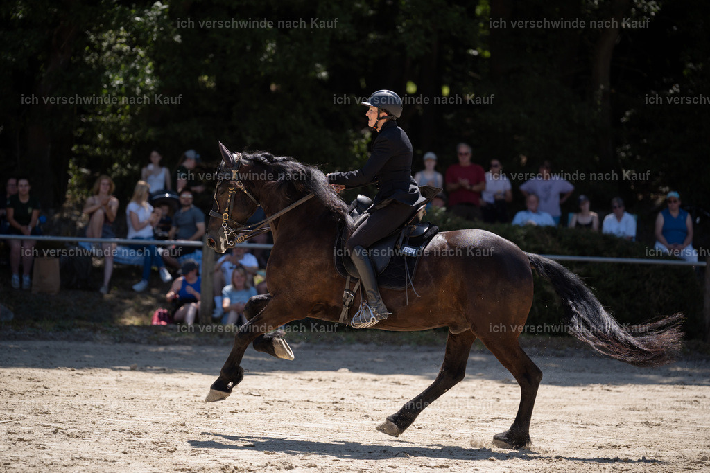 WM_SP_132_Stoibphotography_SO18040 | working equitationturnier fotograf videograf stoibphotography marixx film working equitation deutschland reitsport turnierfotografie eventfotografie equestrian events