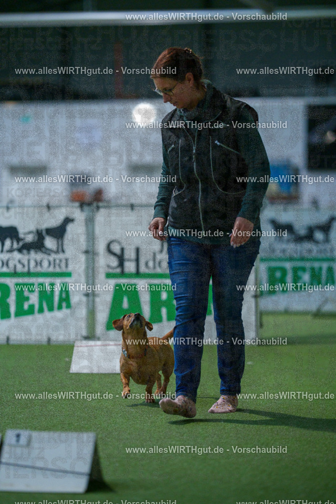 7R501849 | Professionelle Tierfotografie in Mönchengladbach von Daniel Wirth (allesWIRTHgut). Liebevolle & natürliche Bilder von Hunden & Katzen für unvergessliche Erinnerungen.