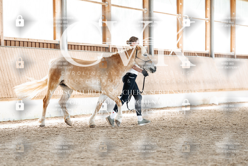 CK907311 | Turnierfotografie Pferdefotografie Trier Rheinland-Pfalz Pferdesport Reitsport Tierfotografie Sportfotografie Pferdevideo Pferdevideografie Equestrianvideography equestrianphotography  - Realisiert mit Pictrs.com