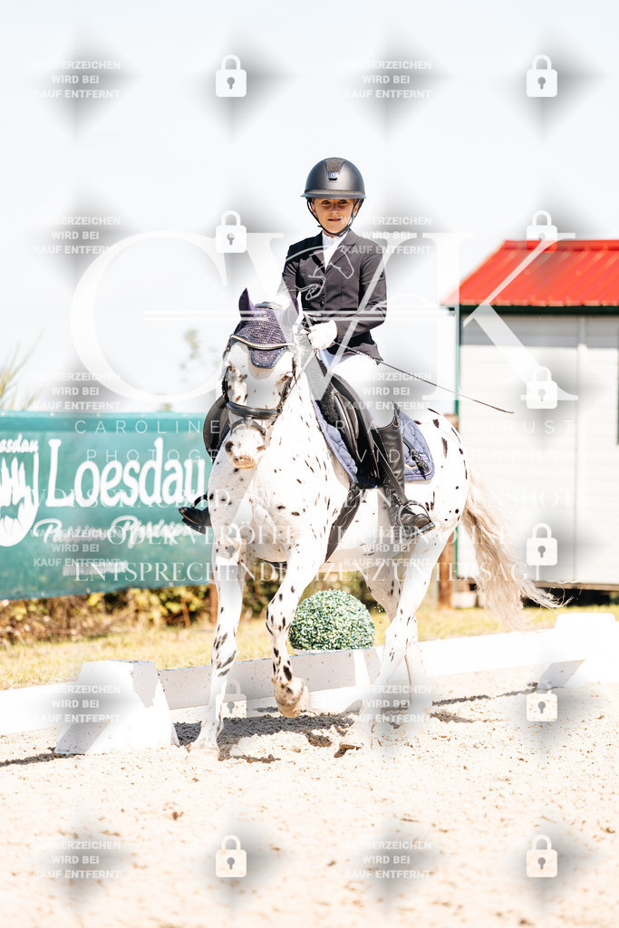 CK904167 | Turnierfotografie Pferdefotografie Trier Rheinland-Pfalz Pferdesport Reitsport Tierfotografie Sportfotografie Pferdevideo Pferdevideografie Equestrianvideography equestrianphotography  - Realisiert mit Pictrs.com