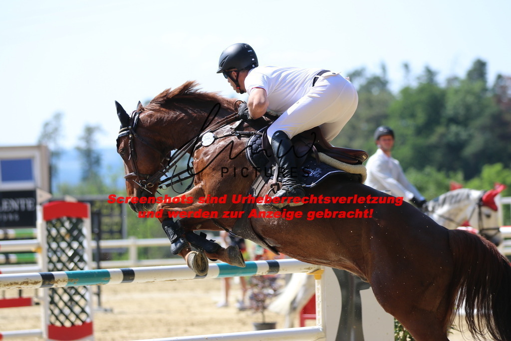 IMG_2955 | lmwpictures - Realisiert mit Pictrs.com