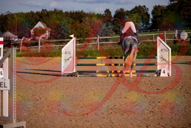 2026_10_03_Siefer-Hof_171404_Z81_11348273 | Professionelle Reitsport-, Turnier- und Eventfotografie von Robert Broda. Galerien mit ausgewählten und bearbeiteten Bildern direkt online ansehen und bestellen.