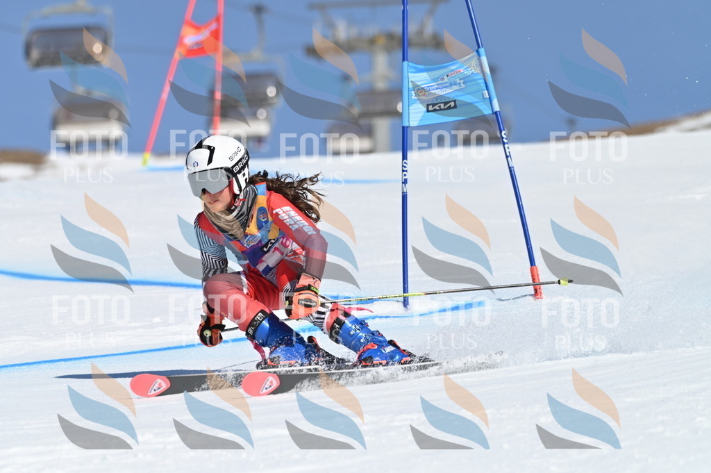 BGV_7876 | holidayphoto