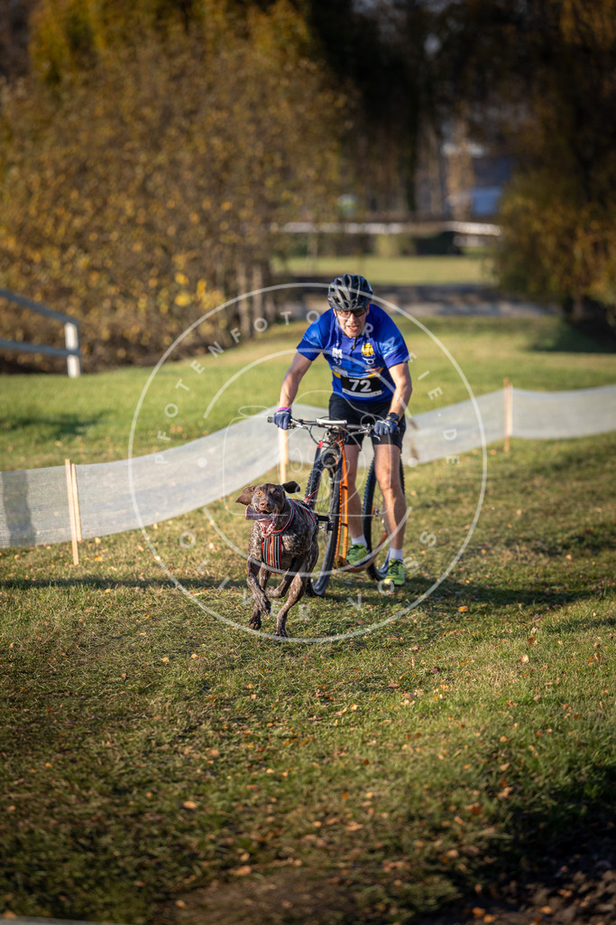 CaniXpix_DV3A1275 | Hundefotografie, Tierfotograf, Pfotenfotografie, Fotoshooting Hund, Hunde Portrait, Hundesport, Hundeportraits, Heideshooting, Hunde, Sportfotograf, Hundefotograf, Turnierhundsport, THS,  - Realisiert mit Pictrs.com