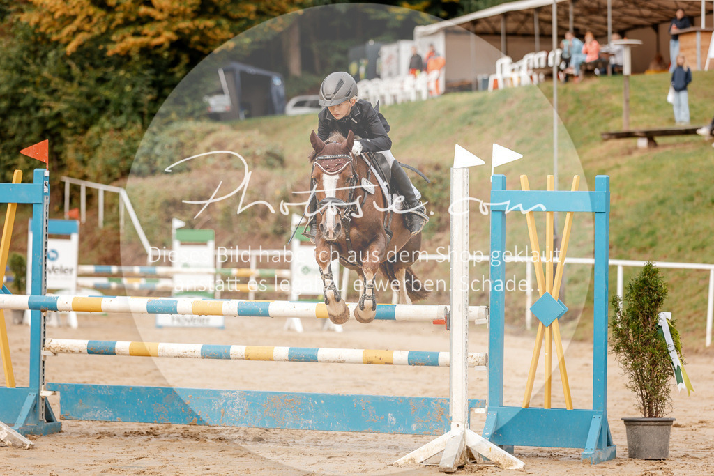 3I6A6597 | Stimmungsvolle Portraits und Reitsportfotografie im Ruhrgebiet und im Münsterland.

Pferdefotografie, Hundefotografie, Tierfotografie, Reportagen, Portraits von Tier und Mensch, Turnierfotografie in Bochum, Recklinghausen, Marl, Haltern am See, Dülmen.. - Realisiert mit Pictrs.com