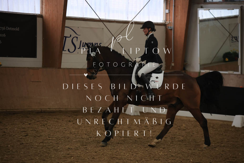 IMGT9553 | pl-fotografie