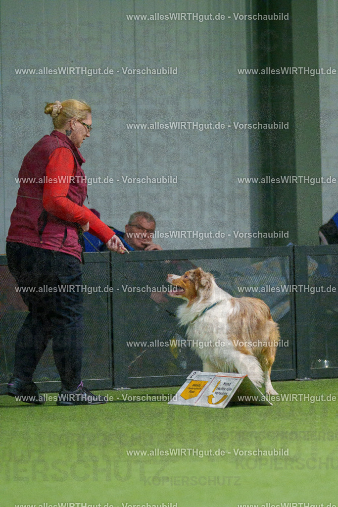 7R505252 | Professionelle Tierfotografie in Mönchengladbach von Daniel Wirth (allesWIRTHgut). Liebevolle & natürliche Bilder von Hunden & Katzen für unvergessliche Erinnerungen.