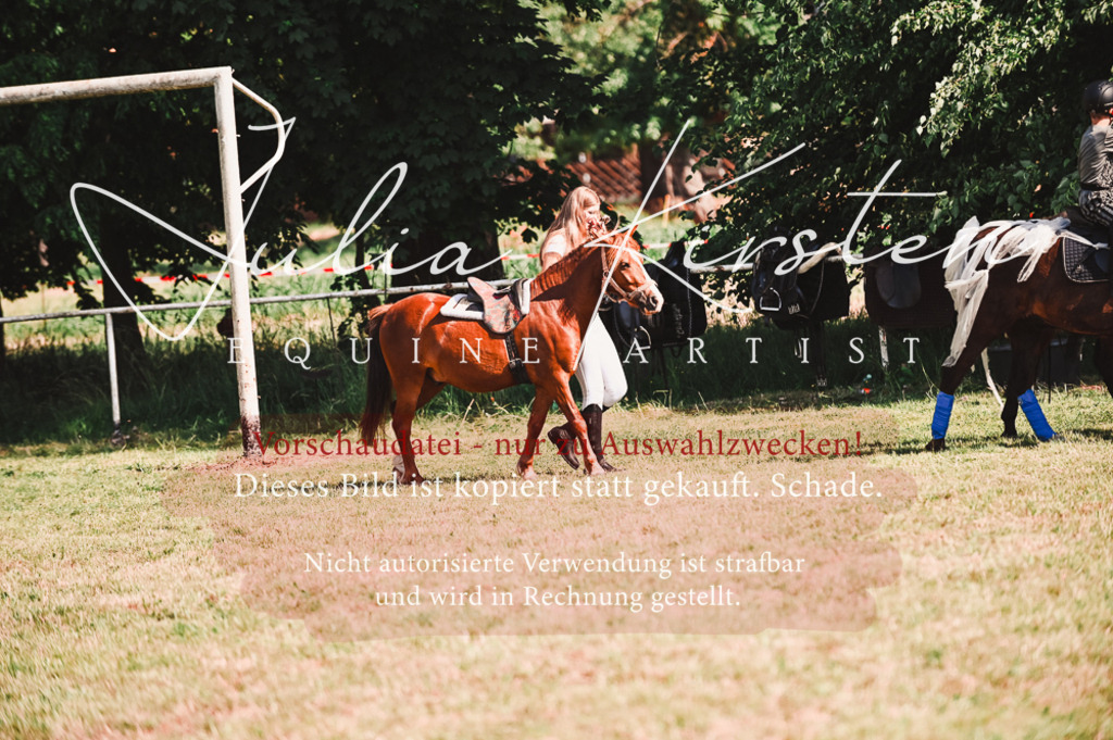 DSC_7331 | Pferde- und Turnierfotografie in Westsachsen. Pferdeportraits, Auftragszeichnungen und intuitive Kunst.