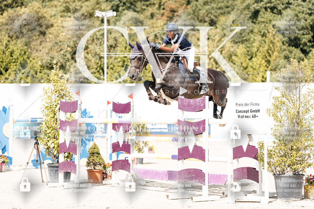 CK904749 | Turnierfotografie Pferdefotografie Trier Rheinland-Pfalz Pferdesport Reitsport Tierfotografie Sportfotografie Pferdevideo Pferdevideografie Equestrianvideography equestrianphotography  - Realisiert mit Pictrs.com
