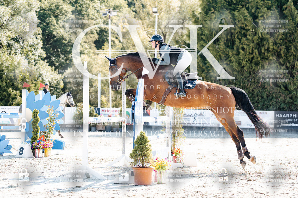 CK902334 | Turnierfotografie Pferdefotografie Trier Rheinland-Pfalz Pferdesport Reitsport Tierfotografie Sportfotografie Pferdevideo Pferdevideografie Equestrianvideography equestrianphotography  - Realisiert mit Pictrs.com