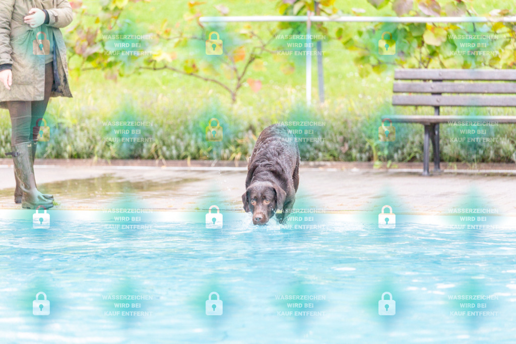 _HP_7289_1000o | HetPix, HetPix Fotodesign, Fotografie, Fotodesign, Webshop, Sportfotografie, Portraitfotografie, Onlineshop, Sportfotografie, Polch, Motorsportfotografie, Eventfotografie