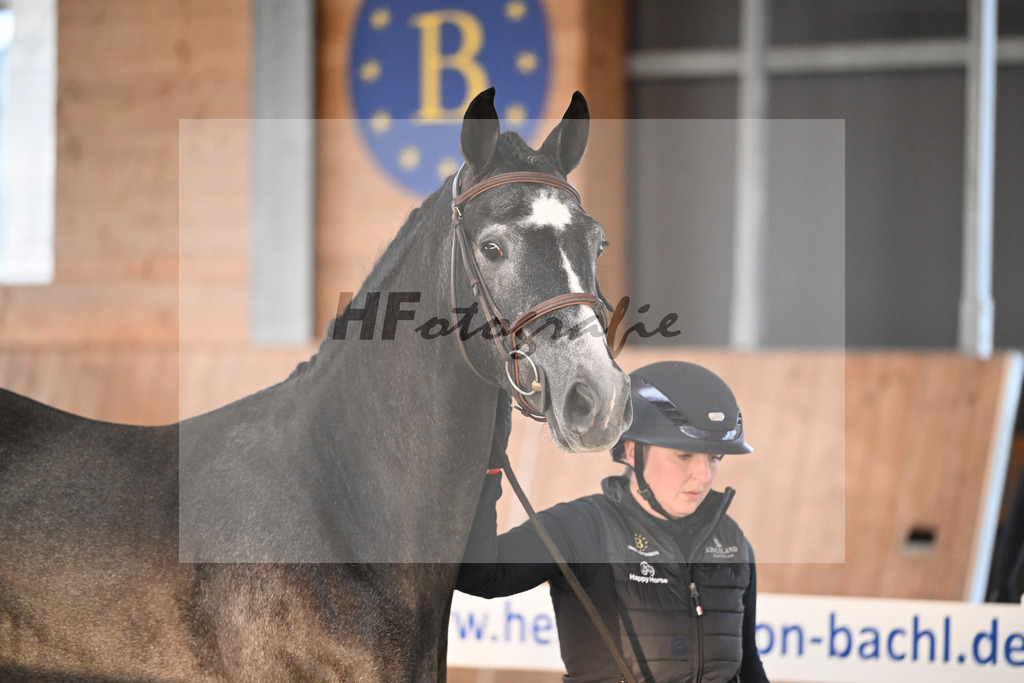 Kat-Nr. 38 Sky Blue EH v. Cero Blue TN_Feichtelbauer_14260991 | hf-fotografie - Realisiert mit Pictrs.com