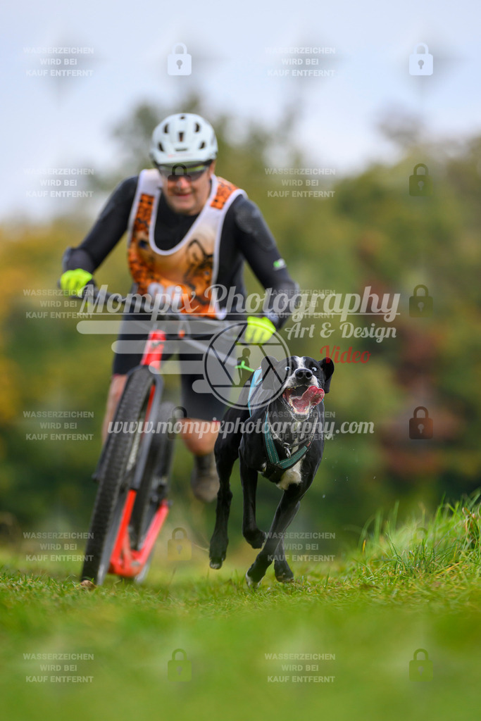 MompixPhotography_CDLBDB2025_DI_DS-51 | PayLife