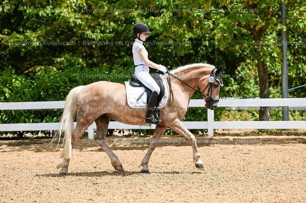 20230715_05_Dressurprüfung Kl.A++_0082 | equistock