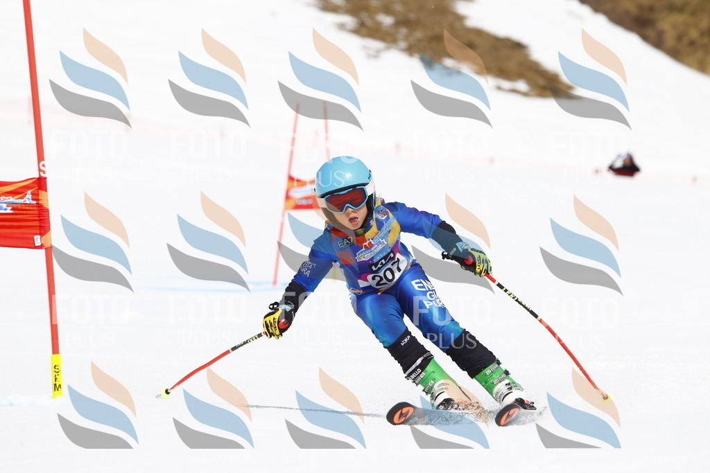 _U3G5371 | holidayphoto