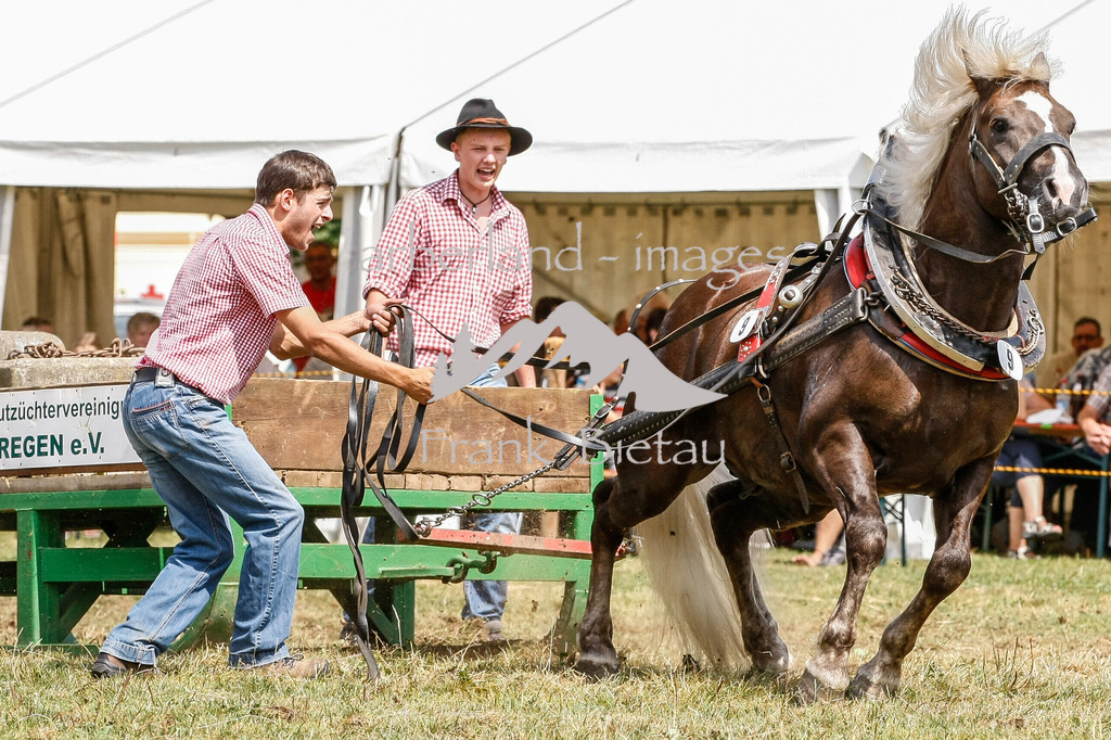 15082015-fb-6295 | Leistungsziehen in Poschetsried 2015