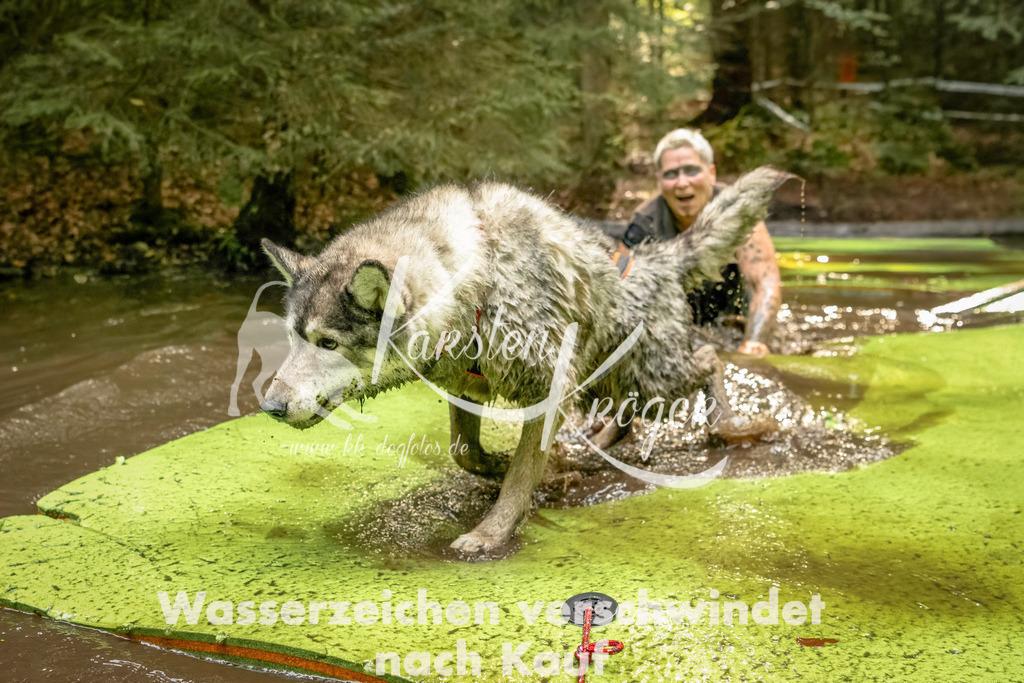 1406_ZZ91046-Bearbeitet | kk-dogfotos
