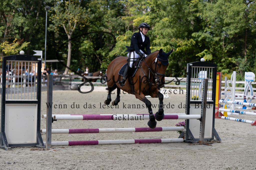 A7V07369 | Turnier/Reitfotograf