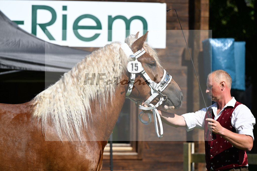 Kat-Nr. 15 Rosenrot v. Voithberg_Brandl_22240243 | hf-fotografie - Realizzato con Pictrs.com