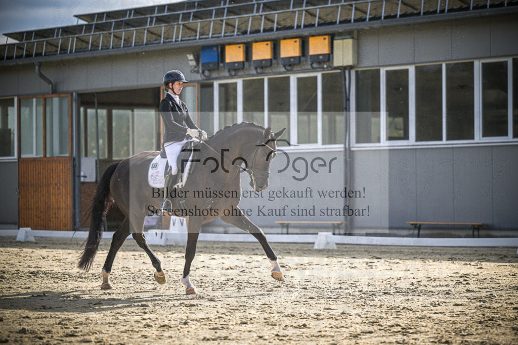 DOS_0115 | Entdecke hochwertige Reitturnierfotos von Foto Oger. Professionell, emotional und authentisch – jetzt Lieblingsmomente im Shop bestellen.Deutschlandweite Turnierfotografie. - Realisiert mit Pictrs.com