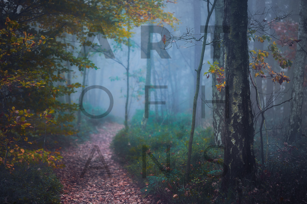 Ein Hans Fineart Original | Entdecke die Kunst von Hans Fineart - Fotografien für dein Zuhause. Verwandle deine Wände mit einzigartigen Kunstwerken und bringe die Schönheit der Welt in dein Leben. Bestelle jetzt und schaffe einen Ort der Inspiration und Eleganz.