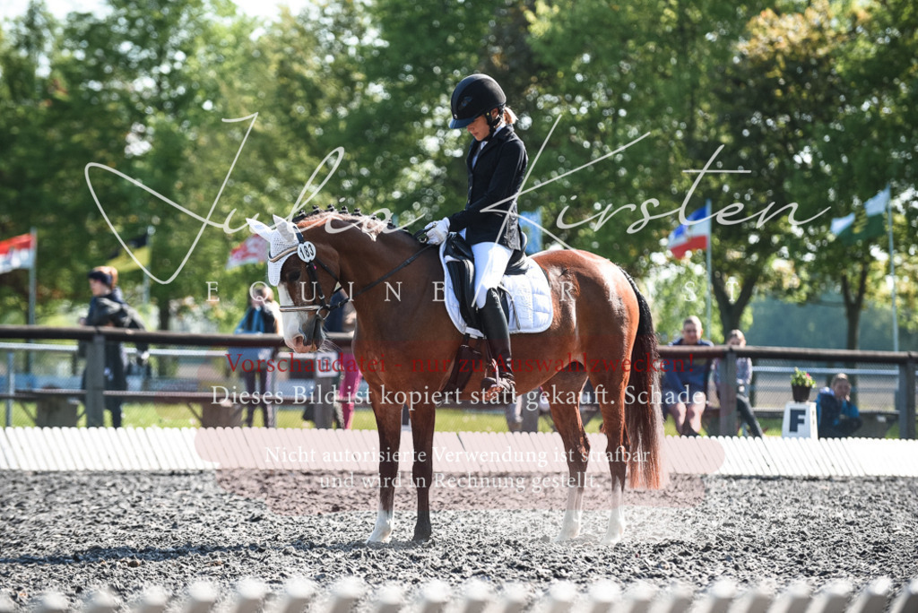 DSC_8695 | Pferde- und Turnierfotografie in Westsachsen. Pferdeportraits, Auftragszeichnungen und intuitive Kunst.