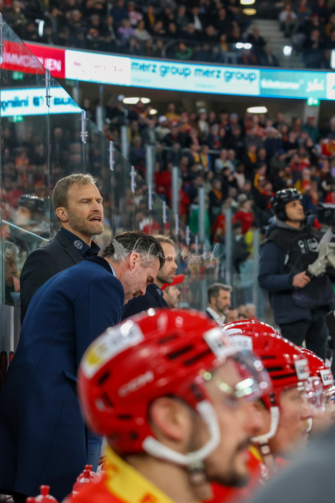 EHCB vs ZSC 20260130_wb-0113 | Sportbilder, Sportfotograf, Hochzeits- und Eventfotografin, Flugshows, Portraits und Tiershooting, Aviation, Downhill, Nationalleague, Swissleague, International