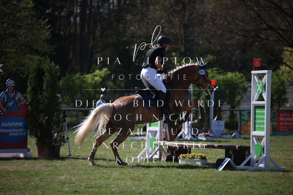 IMGT8897 | pl-fotografie