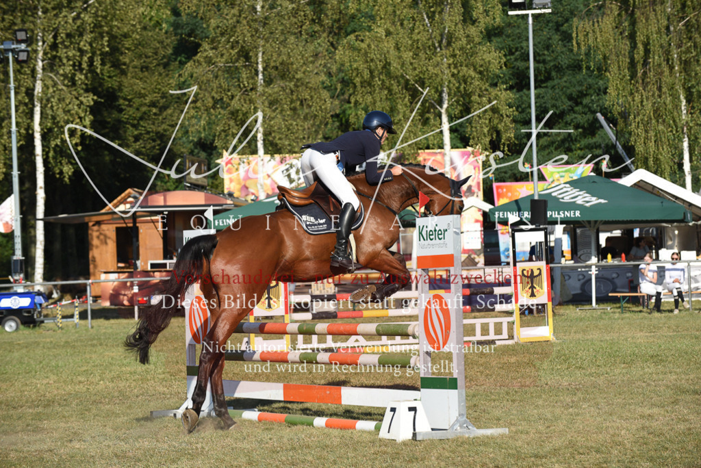 DSC_5047 | Pferde- und Turnierfotografie in Westsachsen. Pferdeportraits, Auftragszeichnungen und intuitive Kunst.