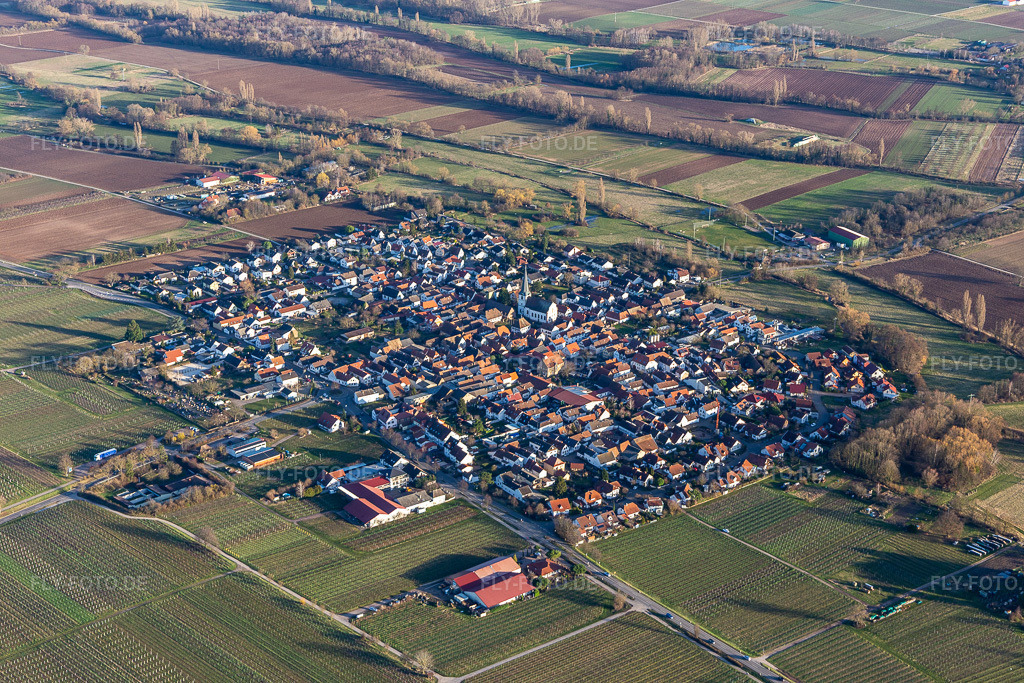 Luftbild:  in Venningen im Bundesland Rheinland-Pfalz in Deutschland. – Foto: IMG_130682.jpg vom 23.02.2022 durch Werner Riehm/FLY-FOTO.de – Auflösung des Originals: 5472 x 3648 px – \xc3\x9cber Venningen | Gemeinde Venningen