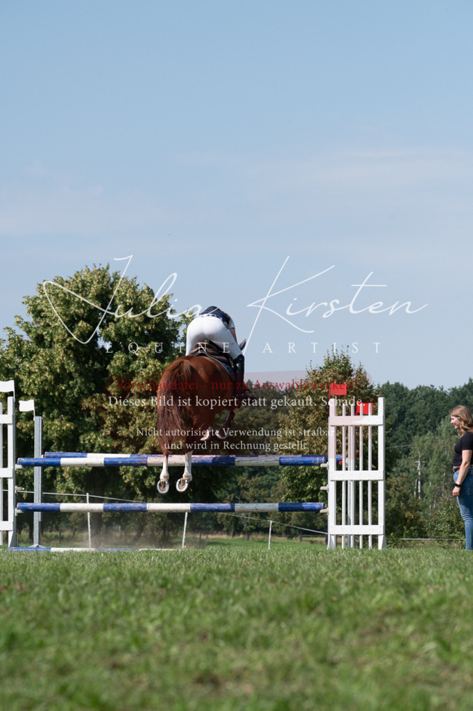 DSC_0888 | Pferde- und Turnierfotografie in Westsachsen. Pferdeportraits, Auftragszeichnungen und intuitive Kunst.