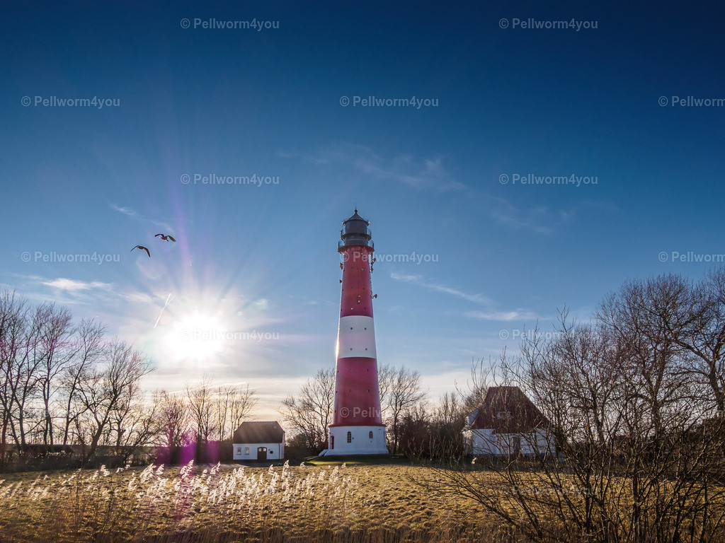 _2190988 | Pellwormer Bilder und Fotos als Poster, auf Leinwand mit Keilrahmen, hinter Acrylglas, auf Alu-Dibond oder Forex-Platte und vieles mehr. Zum verschenken, für die Ferienwohnung oder für zu Hause. - Realisiert mit Pictrs.com