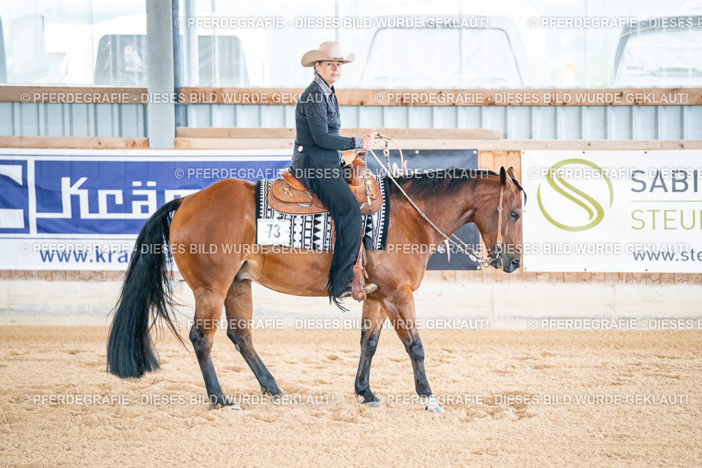 DSC01677 | Pferdegrafie