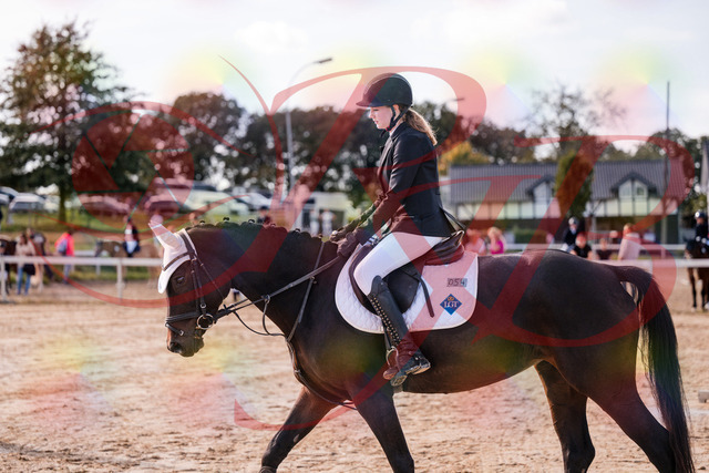2026_10_03_Siefer-Hof_145745_Z81_39936070 | Professionelle Reitsport-, Turnier- und Eventfotografie von Robert Broda. Galerien mit ausgewählten und bearbeiteten Bildern direkt online ansehen und bestellen.