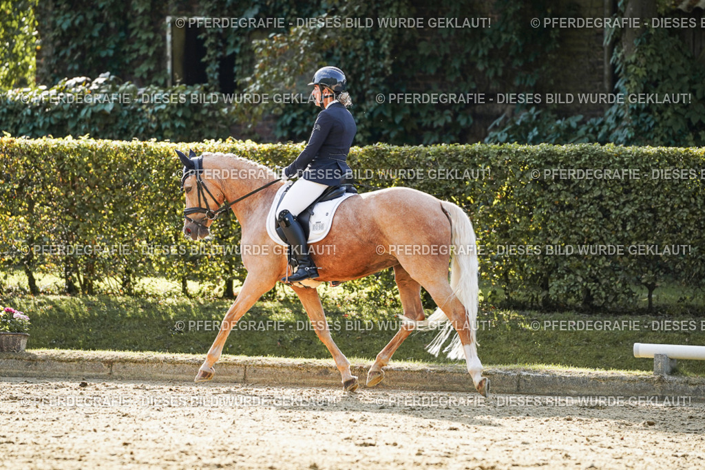 DSC05702 | Pferdegrafie