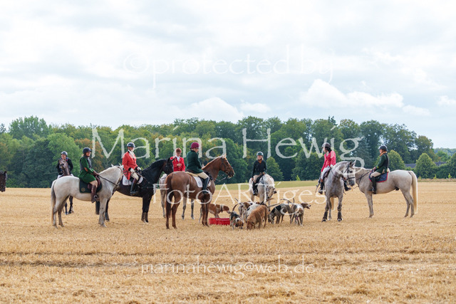 Jagd Knoop 26_MarinaHewigMCH02661 | Fotografie, FotoArt, PferdesportArt, Pferdesportfotografie, Landschaftsfotografie, Reisefotografie, Reise, Pferde - Realisiert mit Pictrs.com