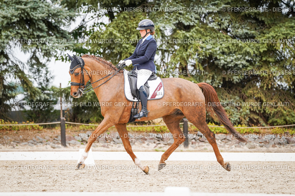 DSC07510 | Pferdegrafie