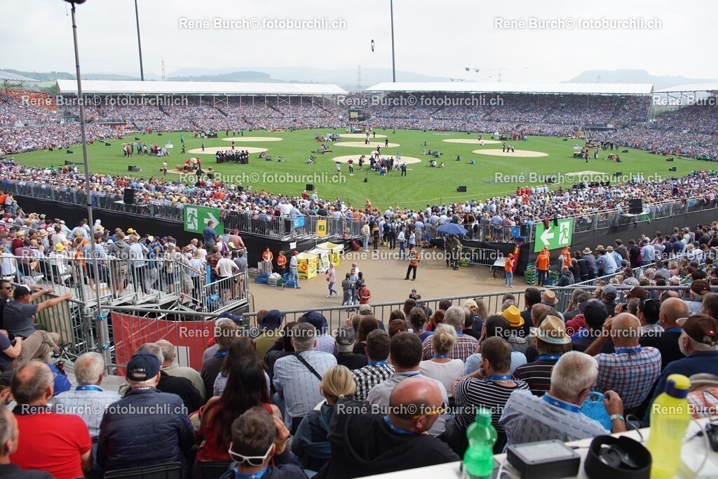 DSC06957 (2) | René Burch leidenschaftlicher Fotograf aus Kerns in Obwalden.  Hier finden sie Sport, Landschaft und Natur Fotografie.
 - Realisiert mit Pictrs.com