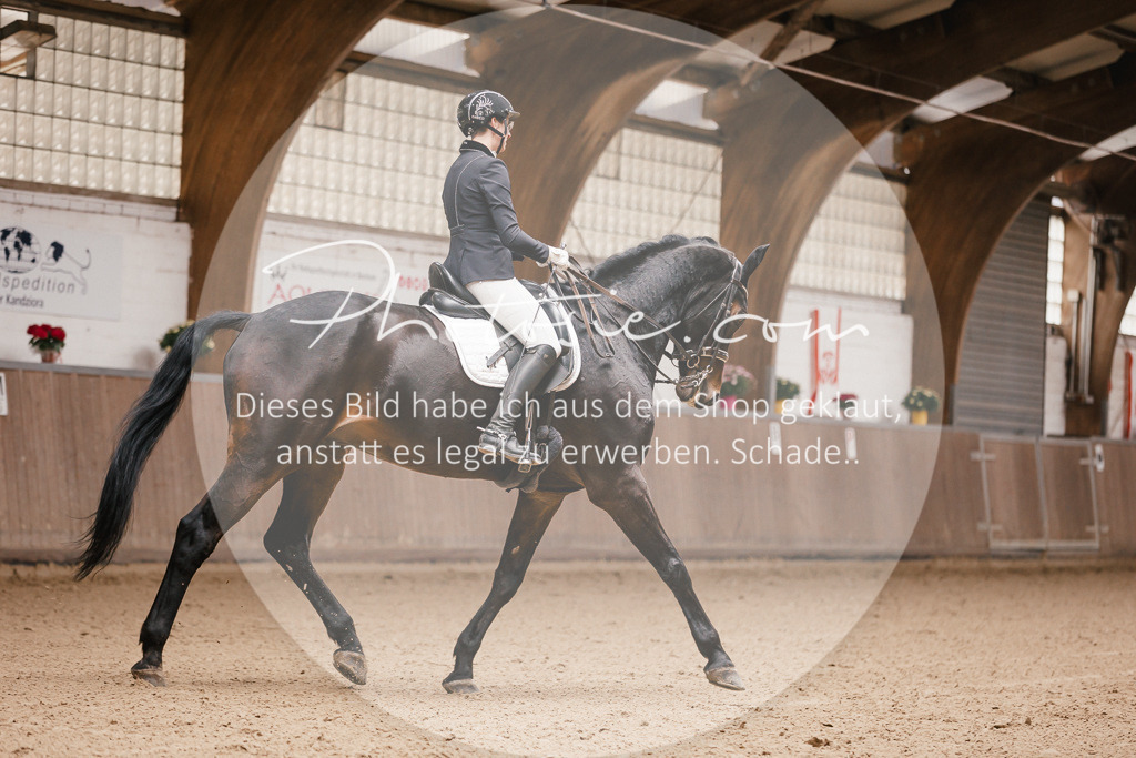 3I6A8224 | Stimmungsvolle Portraits und Reitsportfotografie im Ruhrgebiet und im Münsterland.

Pferdefotografie, Hundefotografie, Tierfotografie, Reportagen, Portraits von Tier und Mensch, Turnierfotografie in Bochum, Recklinghausen, Marl, Haltern am See, Dülmen.. - Realisiert mit Pictrs.com