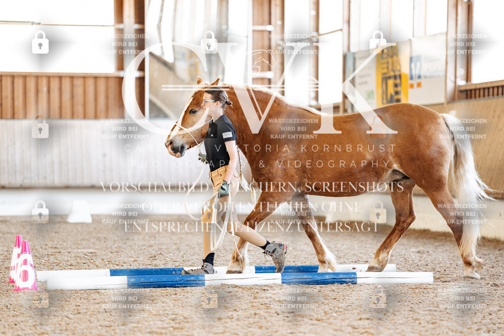 CK905894 | Turnierfotografie Pferdefotografie Trier Rheinland-Pfalz Pferdesport Reitsport Tierfotografie Sportfotografie Pferdevideo Pferdevideografie Equestrianvideography equestrianphotography  - Realisiert mit Pictrs.com