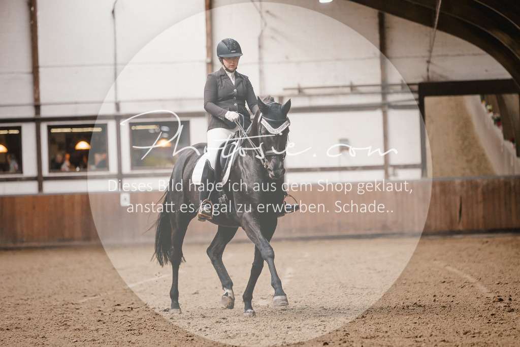 3I6A8352 | Stimmungsvolle Portraits und Reitsportfotografie im Ruhrgebiet und im Münsterland.

Pferdefotografie, Hundefotografie, Tierfotografie, Reportagen, Portraits von Tier und Mensch, Turnierfotografie in Bochum, Recklinghausen, Marl, Haltern am See, Dülmen.. - Realisiert mit Pictrs.com