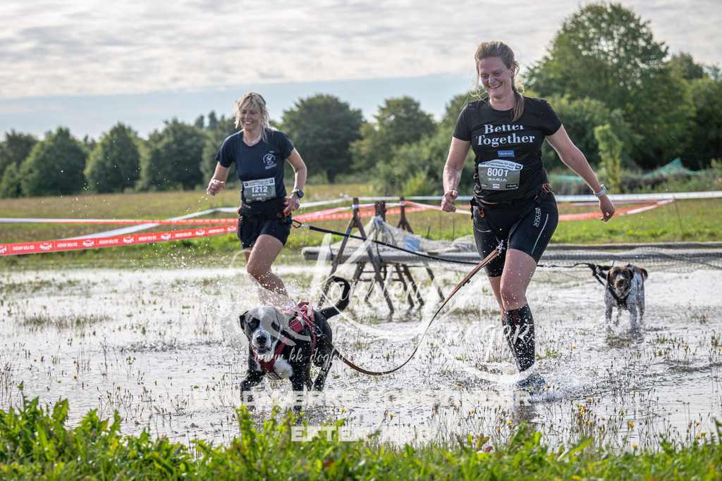 1045_ZZ91142 | kk-dogfotos