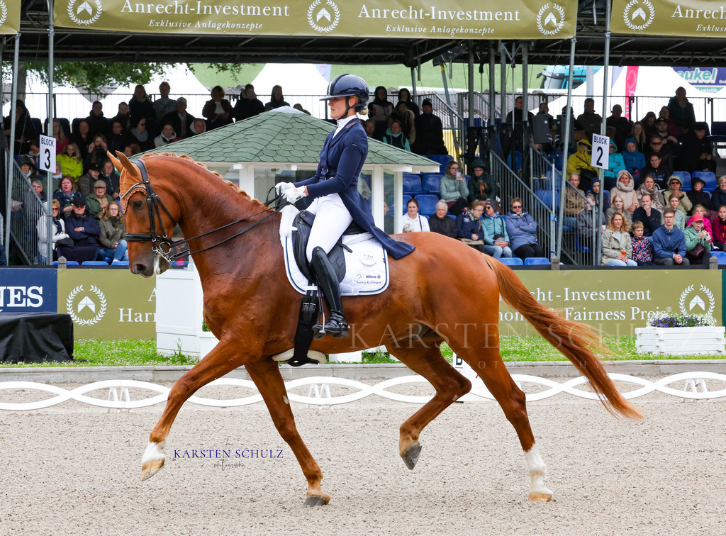 1B3A7188 | Reitsport Reiten