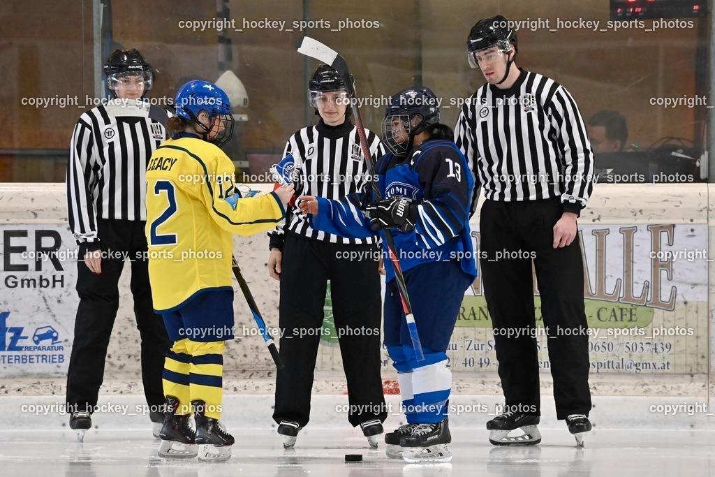 BST_5119 | hockey sports photos, Pressefotos, Sportfotos, hockey247, win 2day icehockeyleague, Handball Austria, Floorball Austria, ÖVV, Kärntner Eishockeyverband, KEHV, KFV, Kärntner Fussballverband, Österreichischer Volleyballverband, Alps Hockey League, ÖFB, 