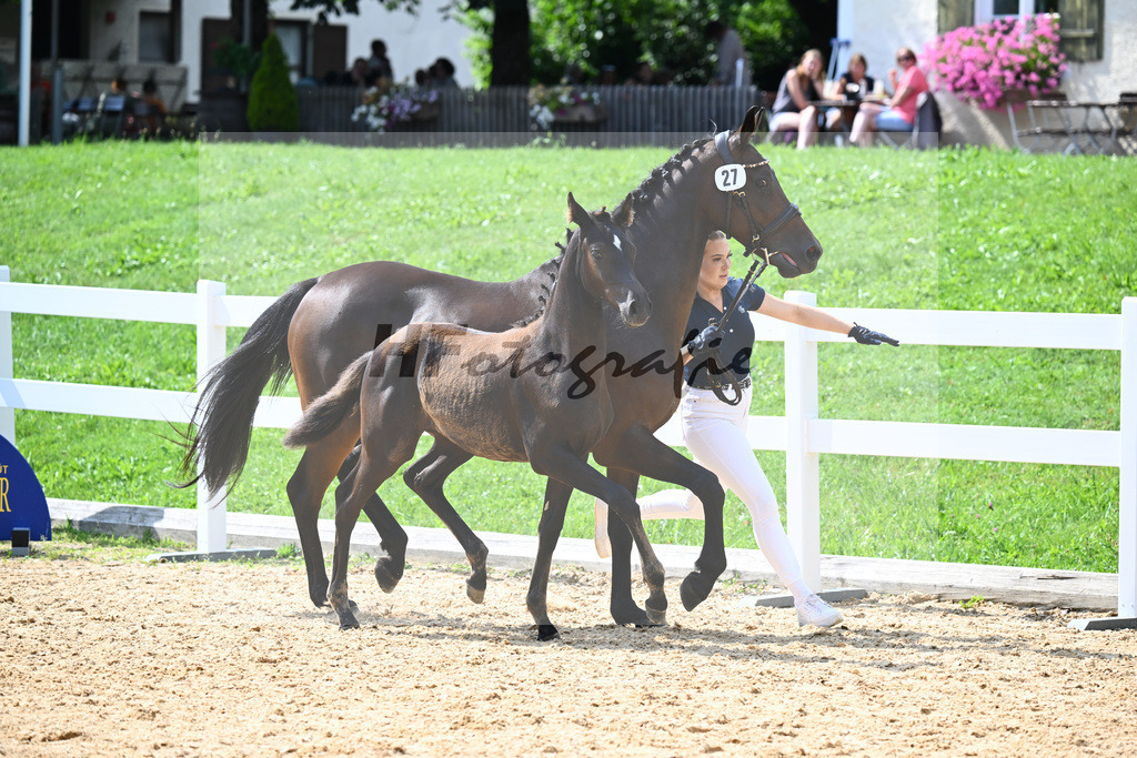 Kat-Nr. 27 Ironman Black M x Van Vivaldi_Wollitz_27140922 | hf-fotografie - Realisiert mit Pictrs.com