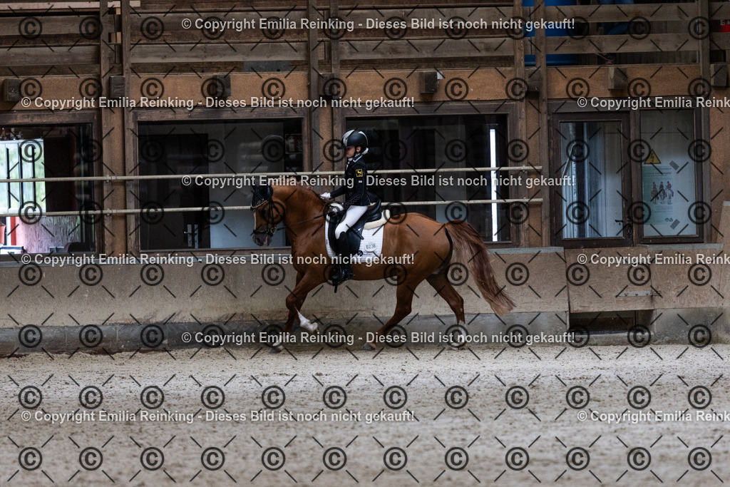 CL5A5265 | Emilia Reinking Fotografie - Realisiert mit Pictrs.com