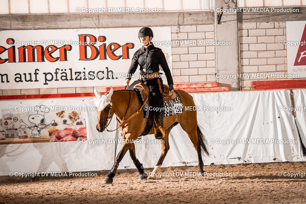 ZH300140 | dv-media-shop - Realisiert mit Pictrs.com